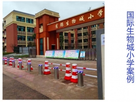 國際生物城小學(xué)升降柱現(xiàn)場(chǎng)案例